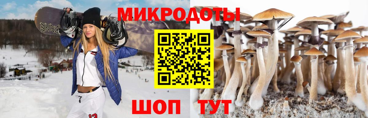 Галлюциногенные грибы мухоморы Москва